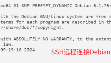 Linux Debian安装教程