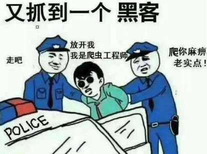 总有坏人想爬我网站的数据，看我用这 10 招干他！