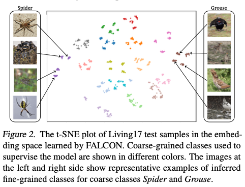 FALCON：打破界限，粗粒度标签的无监督细粒度类别推断，已开源| ICML&#39;24