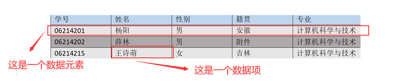 数据结构 - 概述及其术语