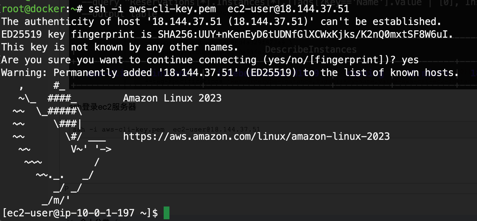 为什么用 AWS CLI？因为我懒得点鼠标！