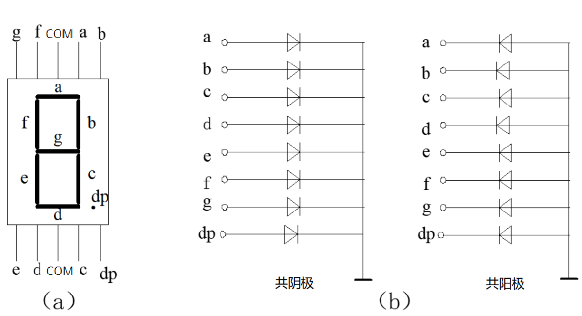 51单片机入门：数码管（3）