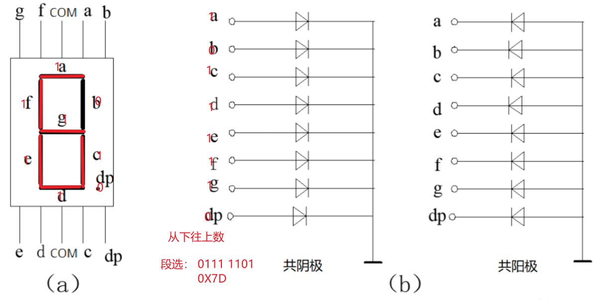 51单片机入门：数码管（3）