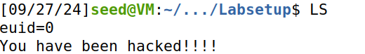 SEEDLab —— 环境变量与 Set-UID 实验