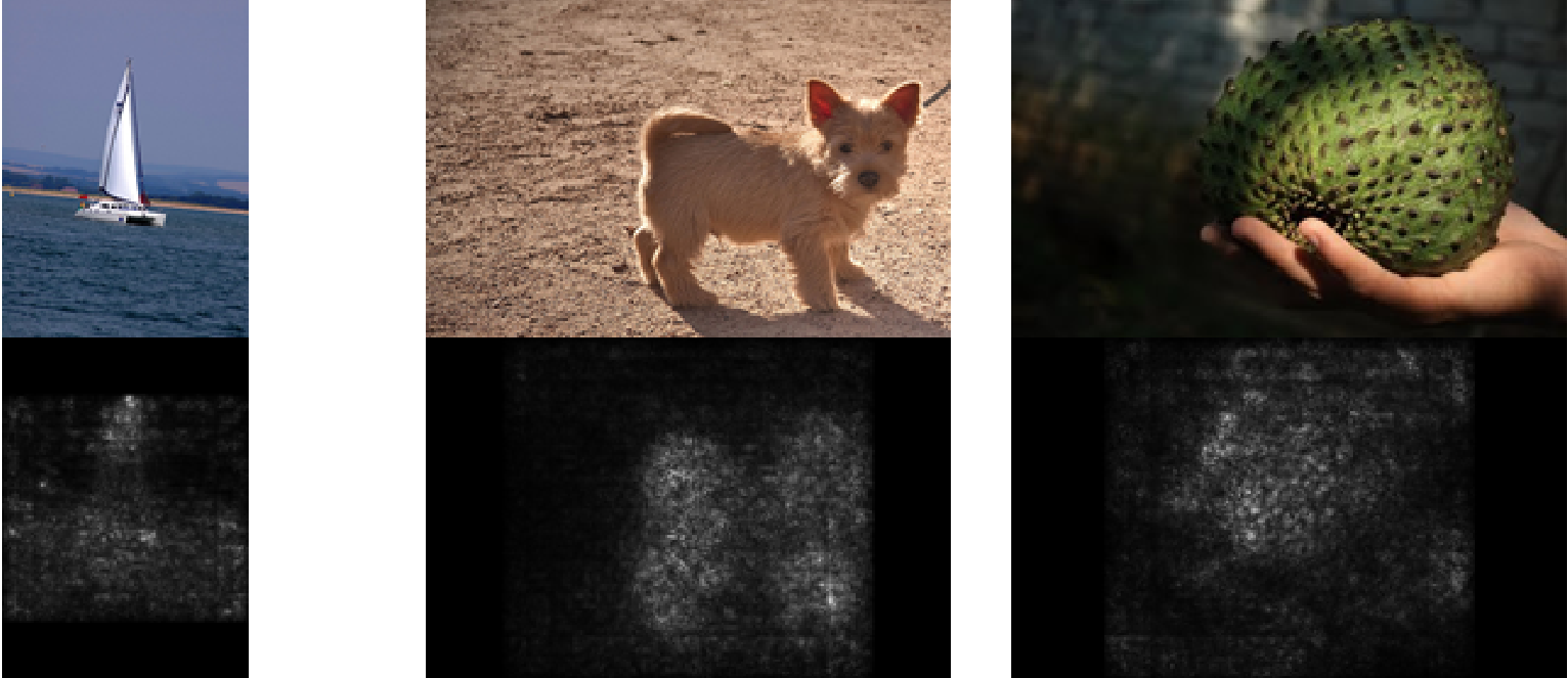 AI可解释性 II | Saliency Maps-based 归因方法（Attribution）论文导读（持续更新）